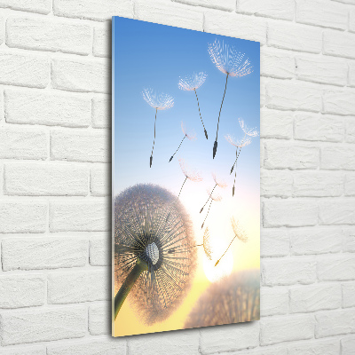 Print on a a glass Dandelion