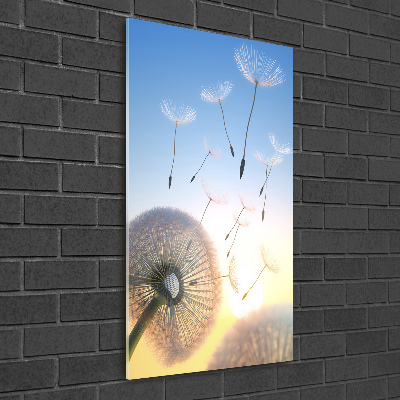 Print on a a glass Dandelion