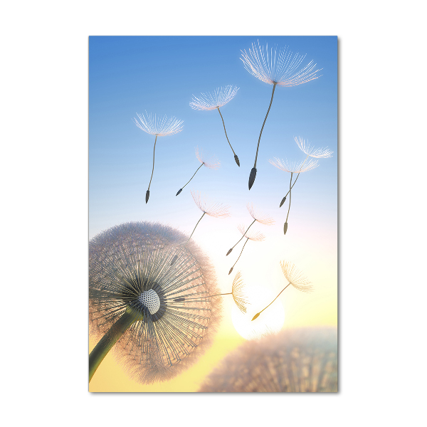 Print on a a glass Dandelion