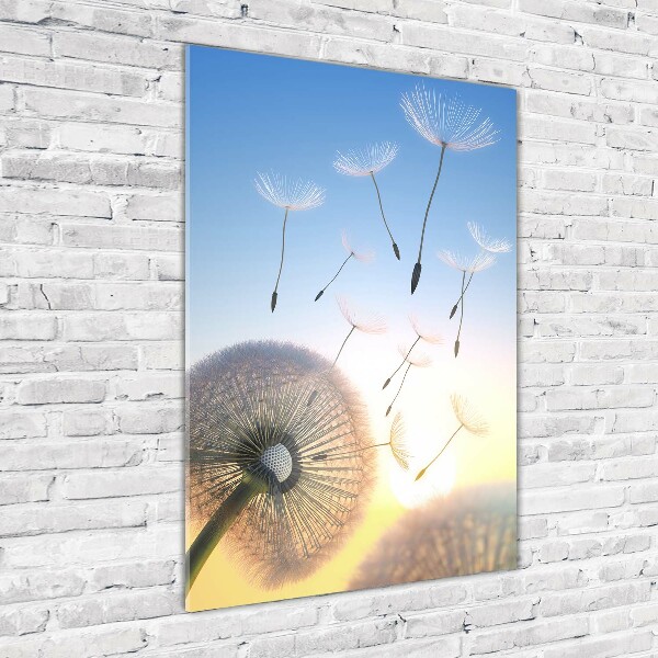 Print on a a glass Dandelion