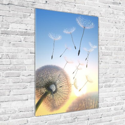 Print on a a glass Dandelion