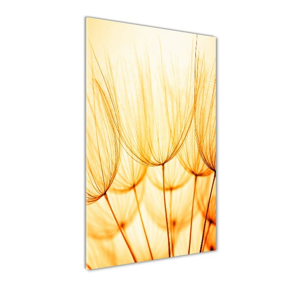 Glass wall art Dandelion seeds