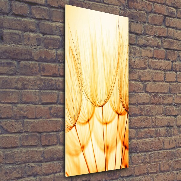 Glass wall art Dandelion seeds