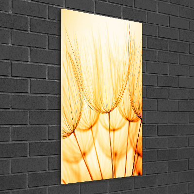 Glass wall art Dandelion seeds