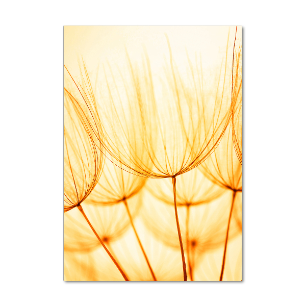 Glass wall art Dandelion seeds