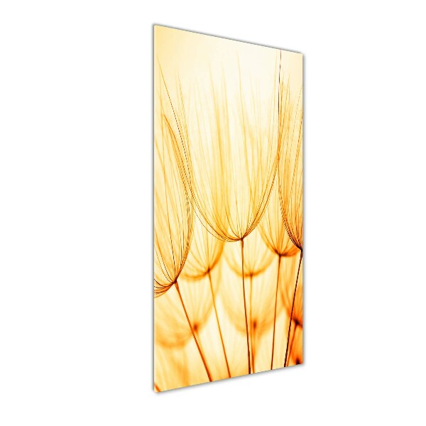 Glass wall art Dandelion seeds