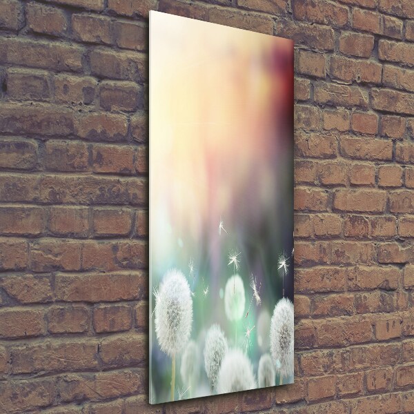 Glass wall art dandelions