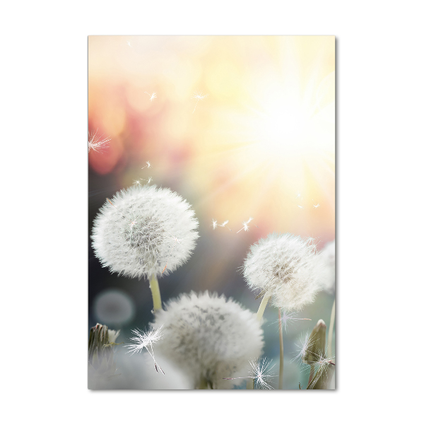 Glass wall art dandelions