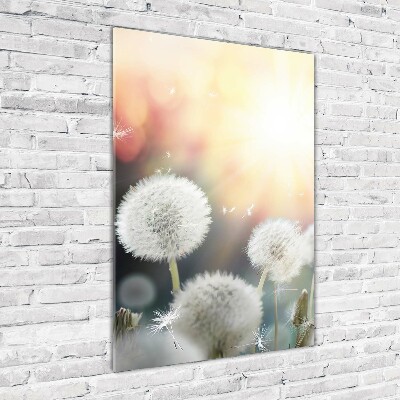 Glass wall art dandelions