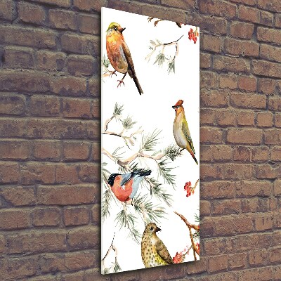 Photo printed on glass Birds and conifers