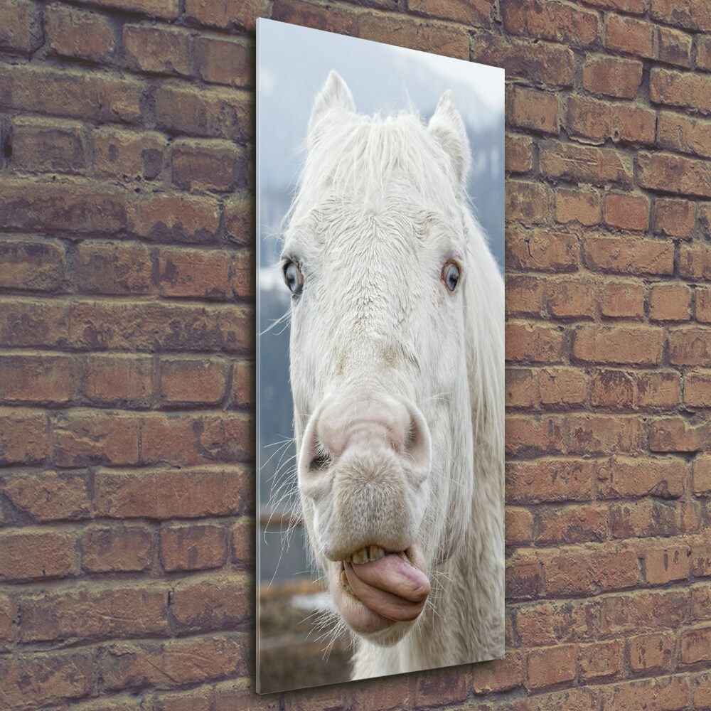 Wall art on glass Crazy white horse