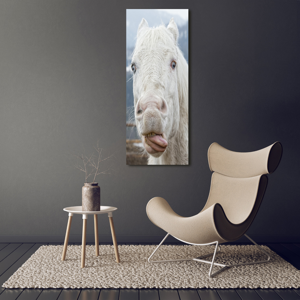 Wall art on glass Crazy white horse