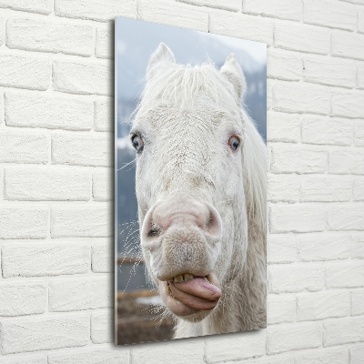 Wall art on glass Crazy white horse