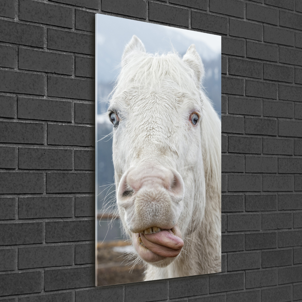 Wall art on glass Crazy white horse