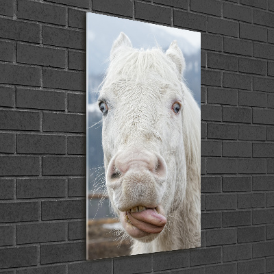 Wall art on glass Crazy white horse