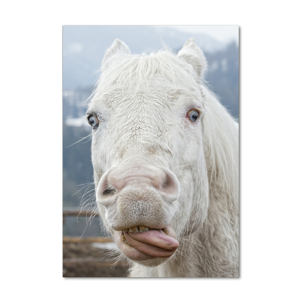 Wall art on glass Crazy white horse