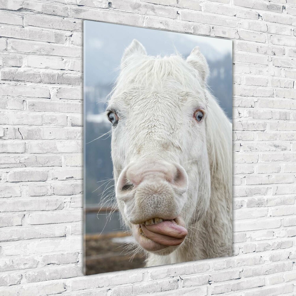 Wall art on glass Crazy white horse