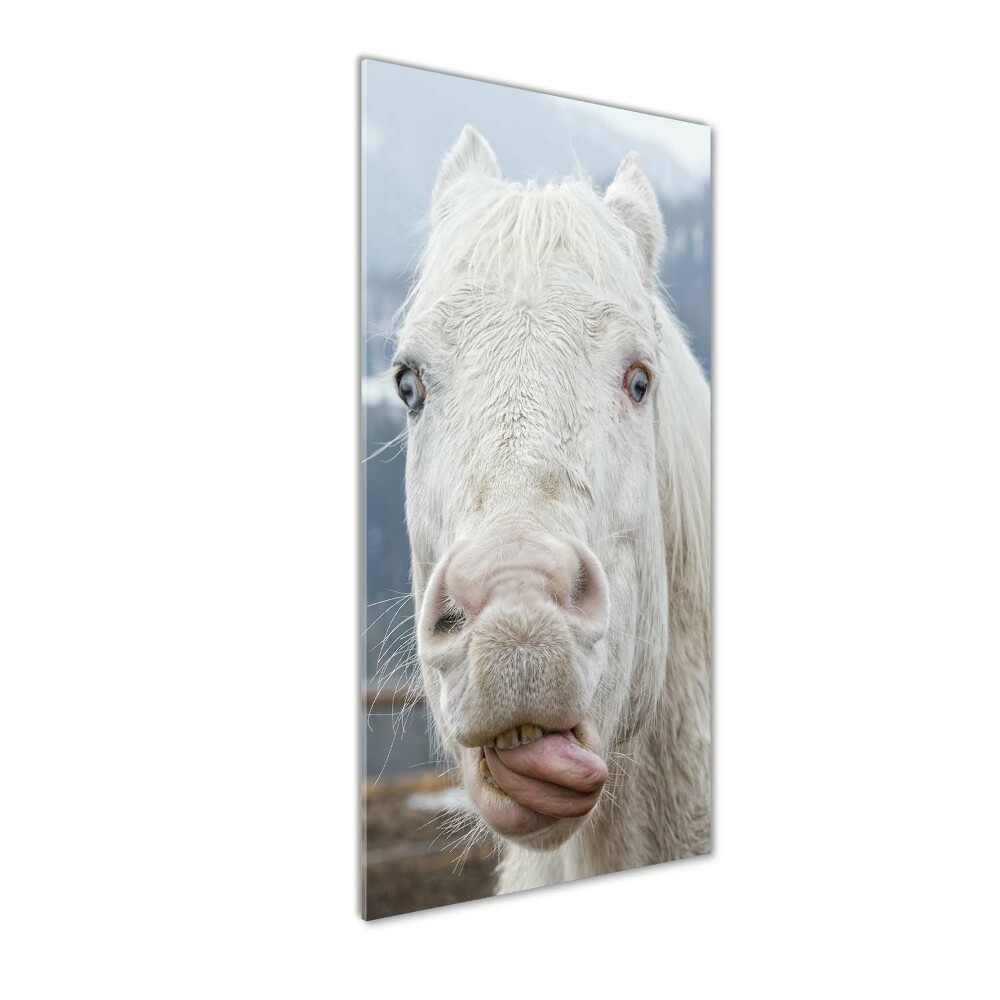 Wall art on glass Crazy white horse