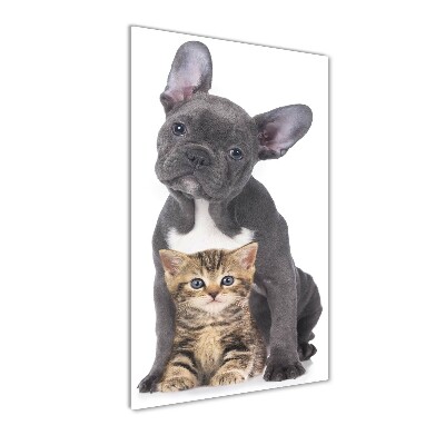 Wall art on glass Dog and cat