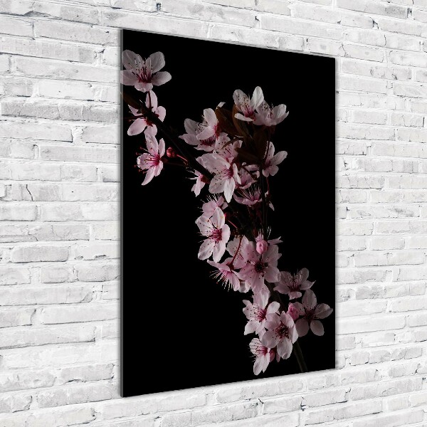 Print on a a glass Cherry blossoms