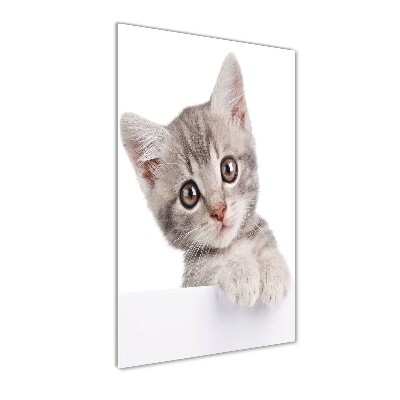 Print on a a glass Gray cat