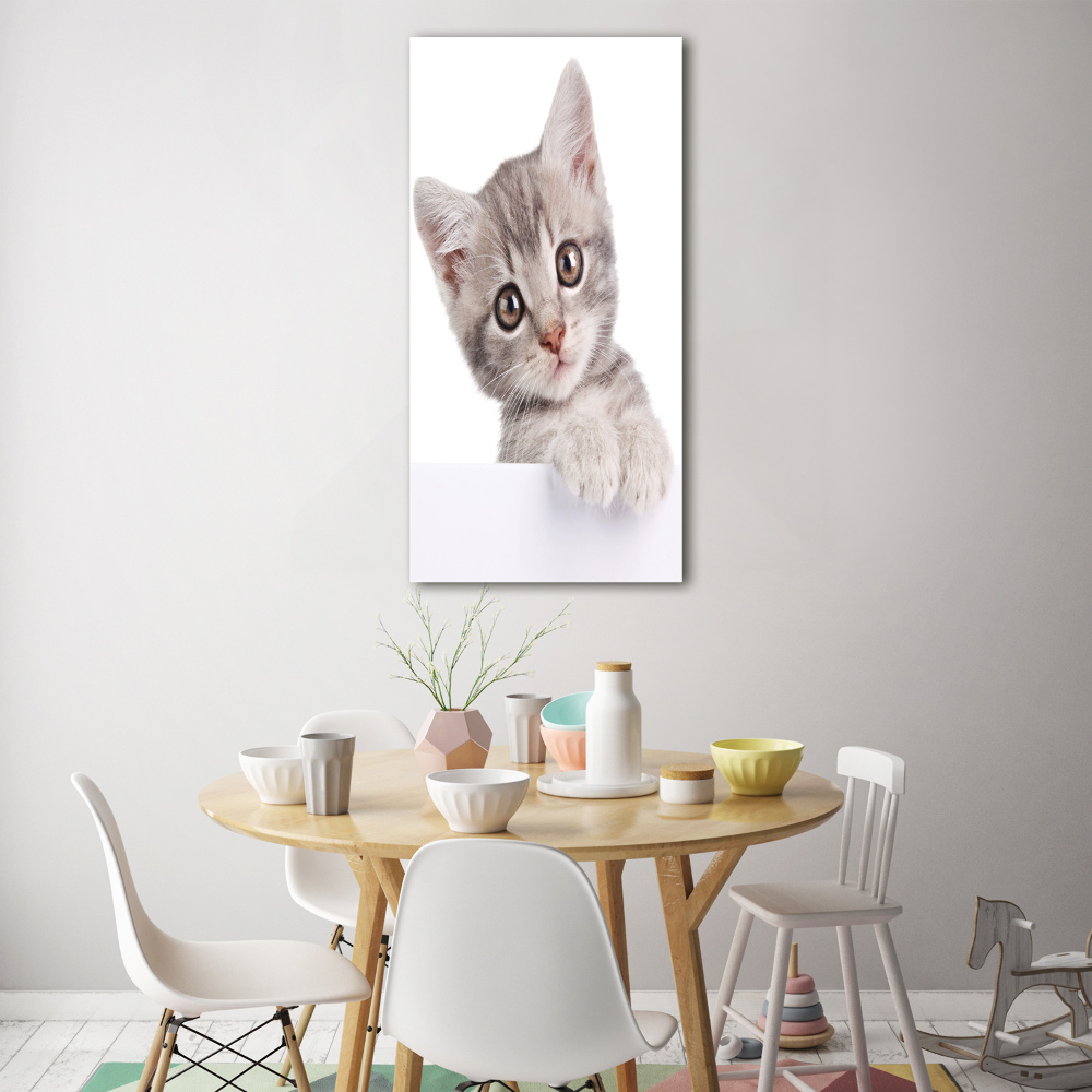 Print on a a glass Gray cat