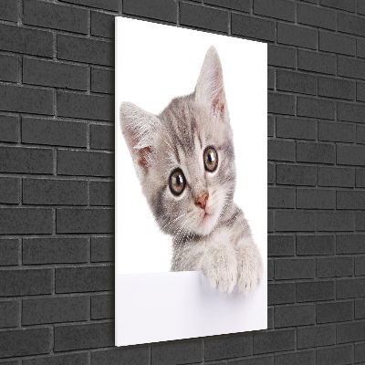 Print on a a glass Gray cat