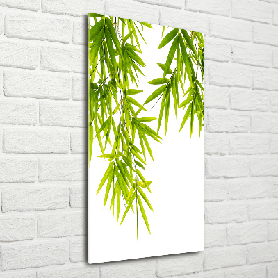 Glass art picture Bamboo leaves