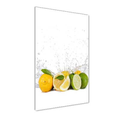 Glass wall art Citruses