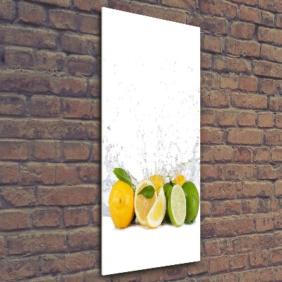 Glass wall art Citruses