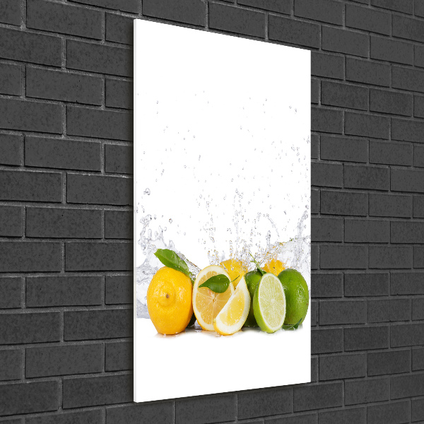 Glass wall art Citruses