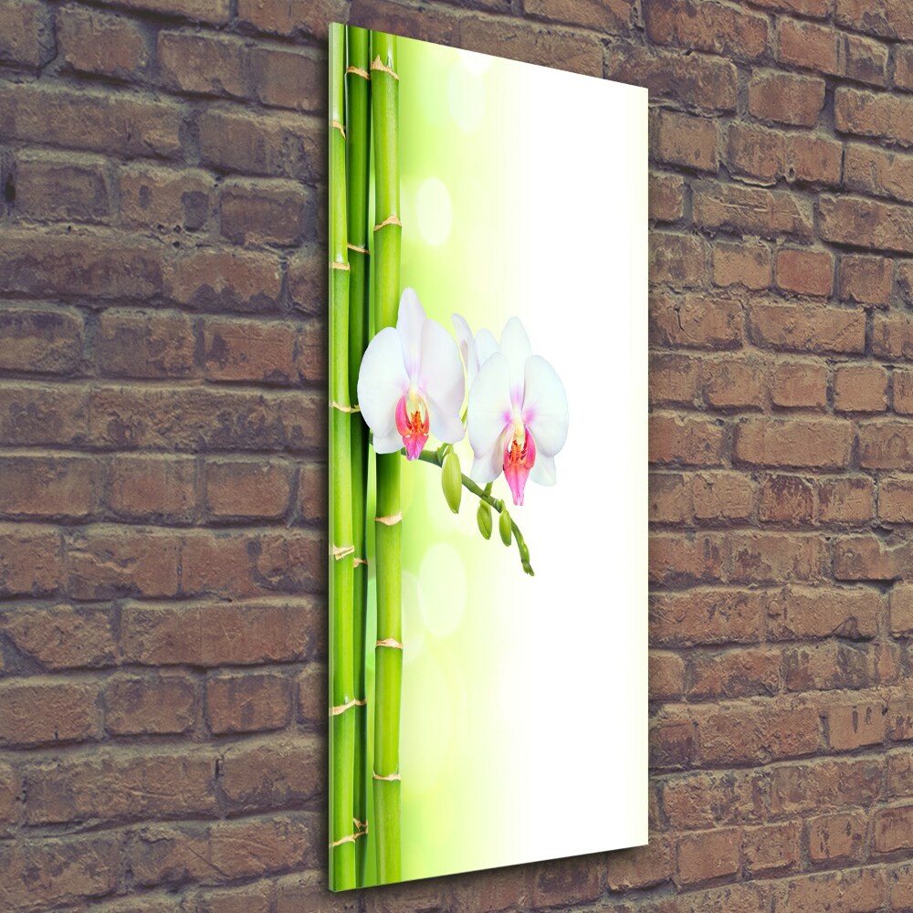 Photo printed on glass Orchid and bamboo