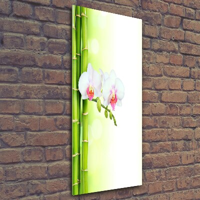 Photo printed on glass Orchid and bamboo