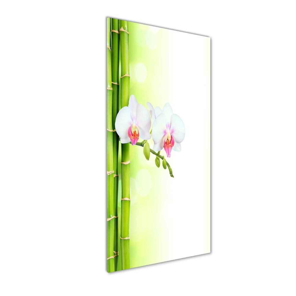 Photo printed on glass Orchid and bamboo