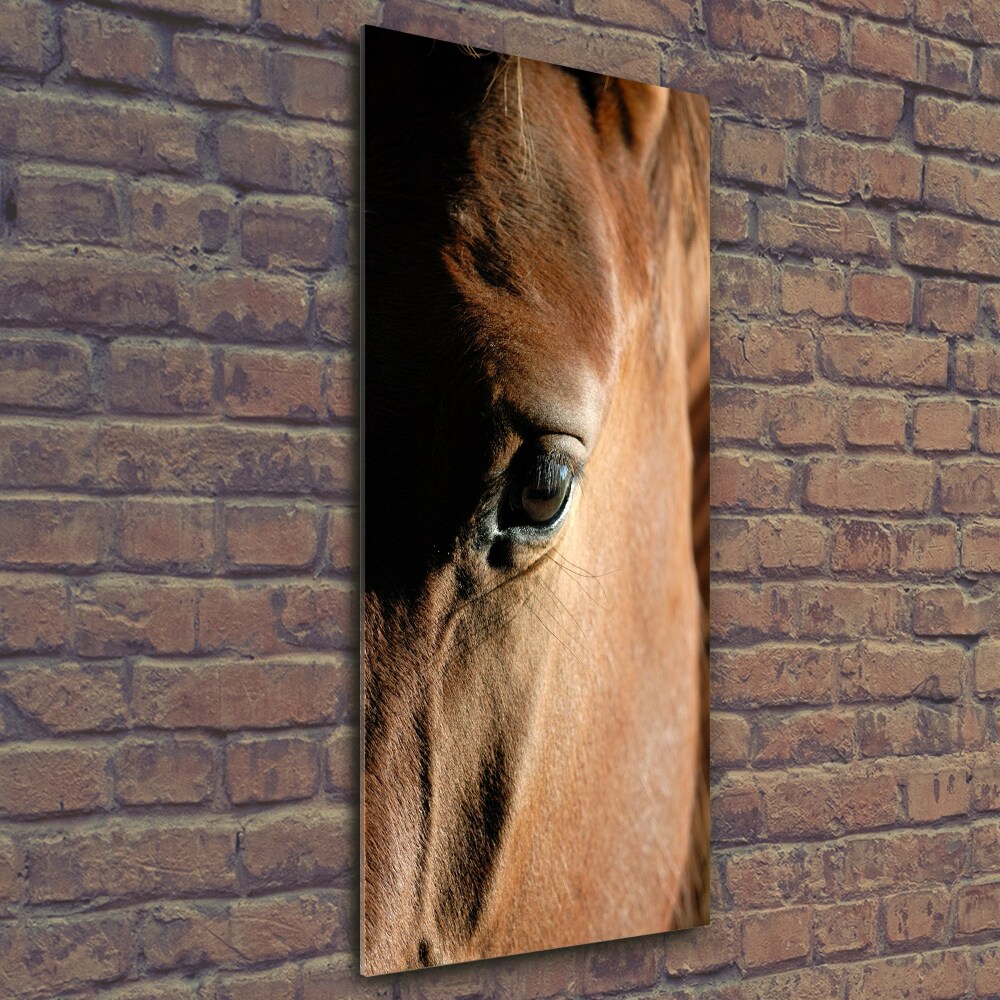 Wall art on glass Horse