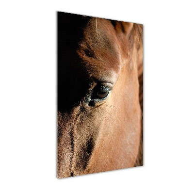 Wall art on glass Horse