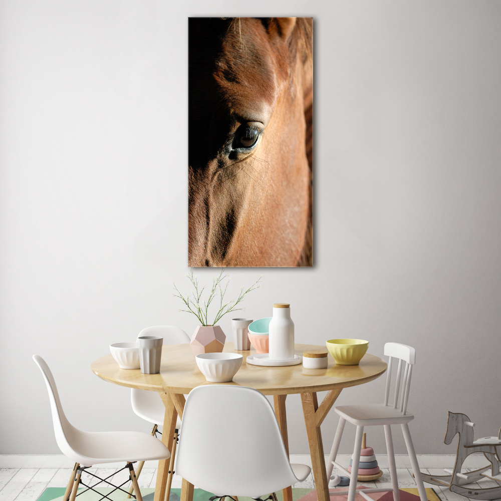 Wall art on glass Horse