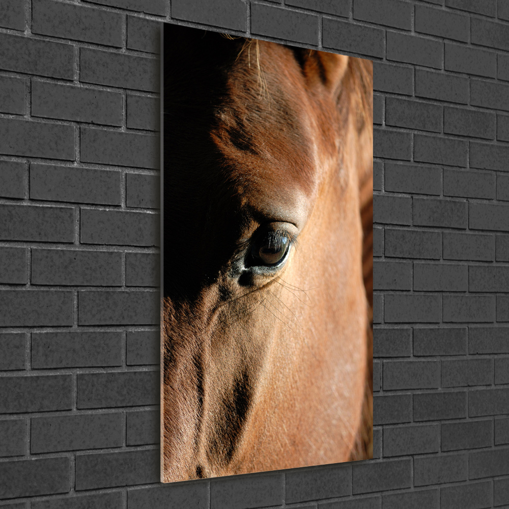 Wall art on glass Horse