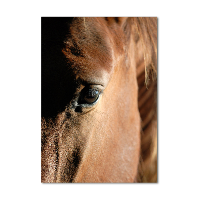 Wall art on glass Horse