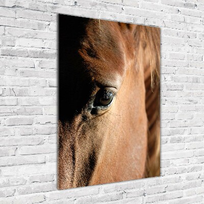 Wall art on glass Horse