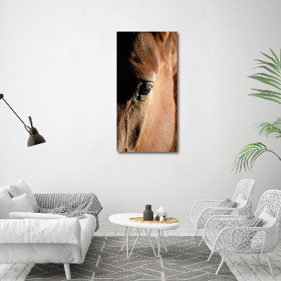 Wall art on glass Horse