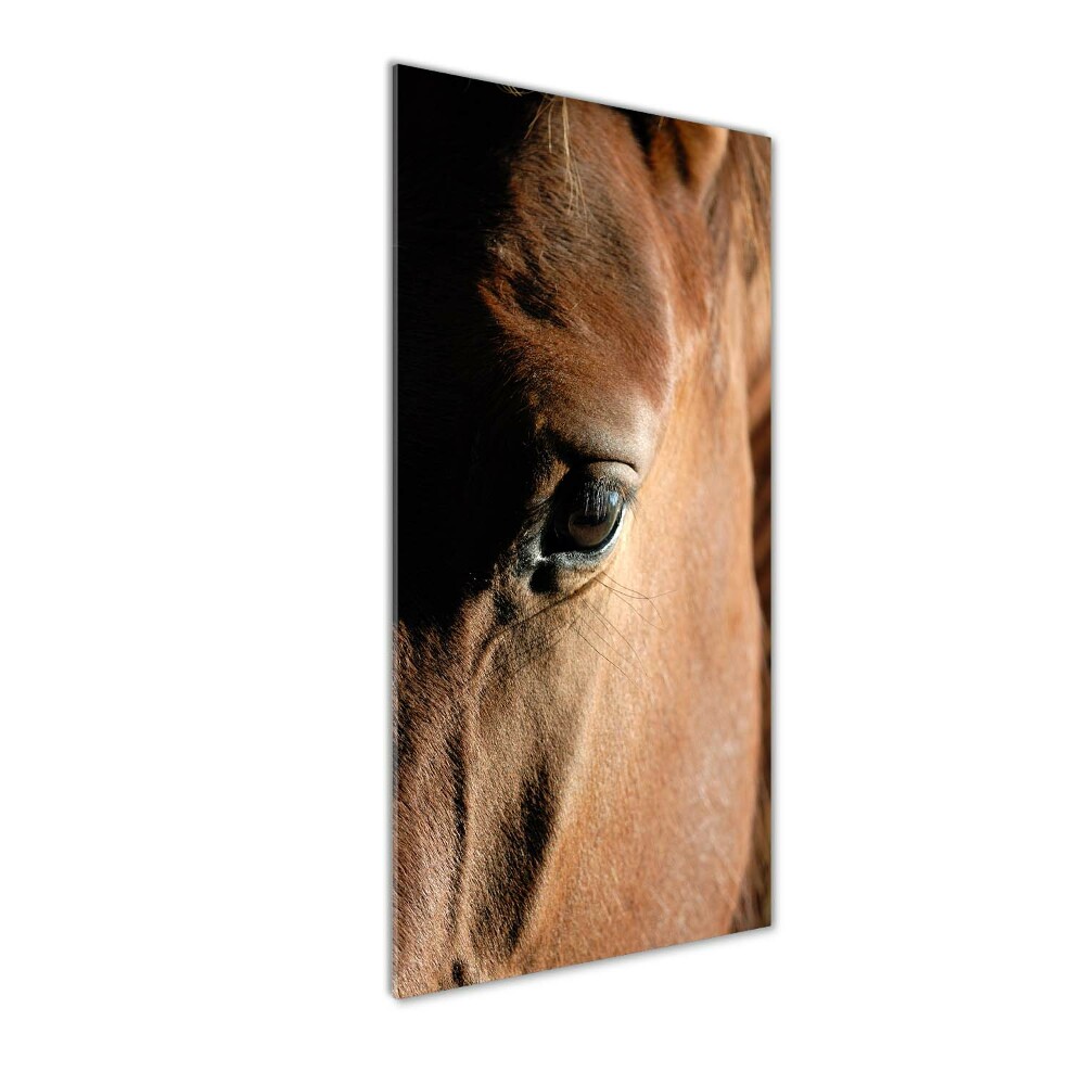 Wall art on glass Horse