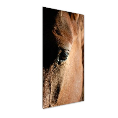 Wall art on glass Horse