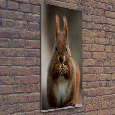 Glass wall art Squirrel