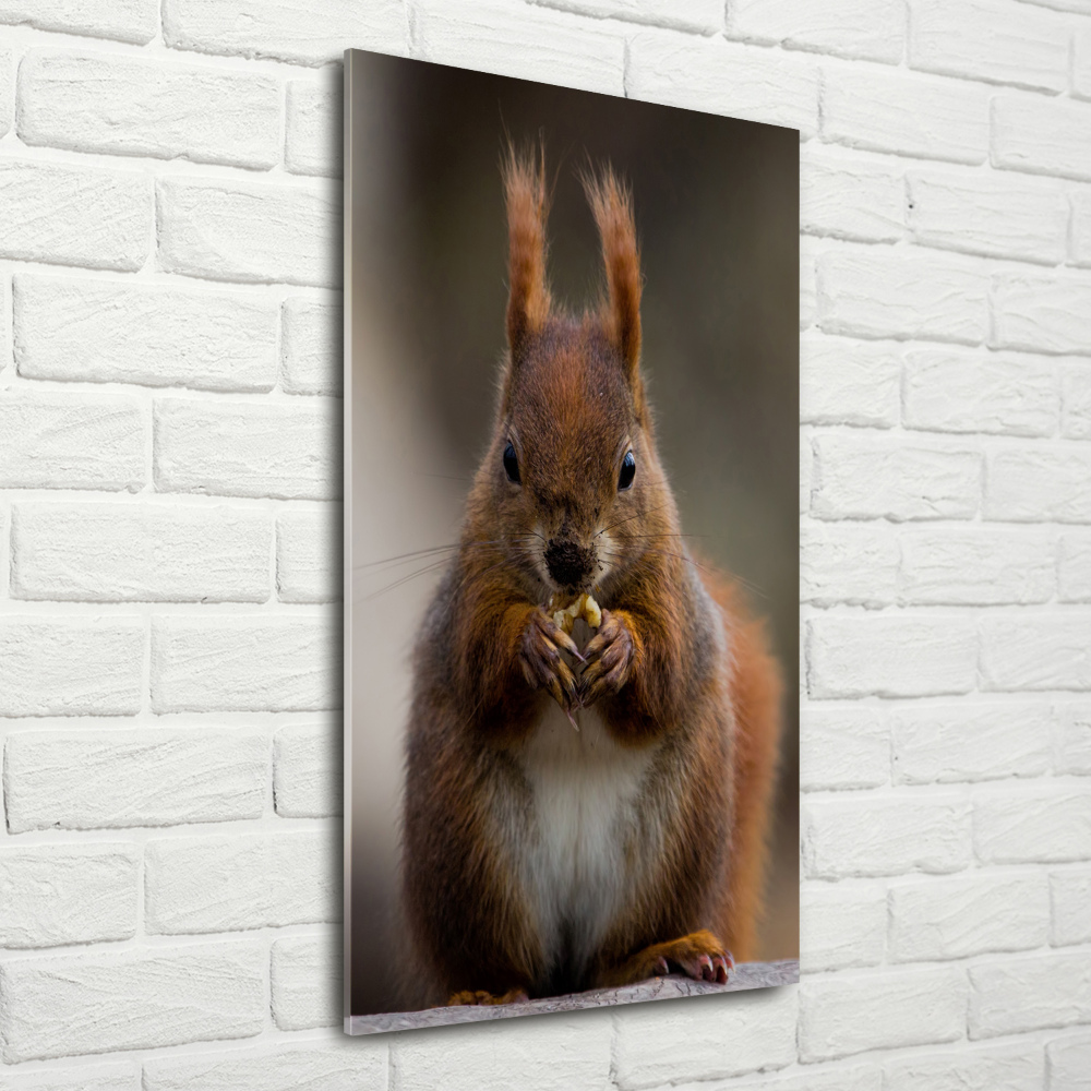 Glass wall art Squirrel