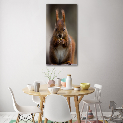 Glass wall art Squirrel