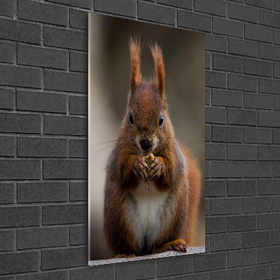 Glass wall art Squirrel