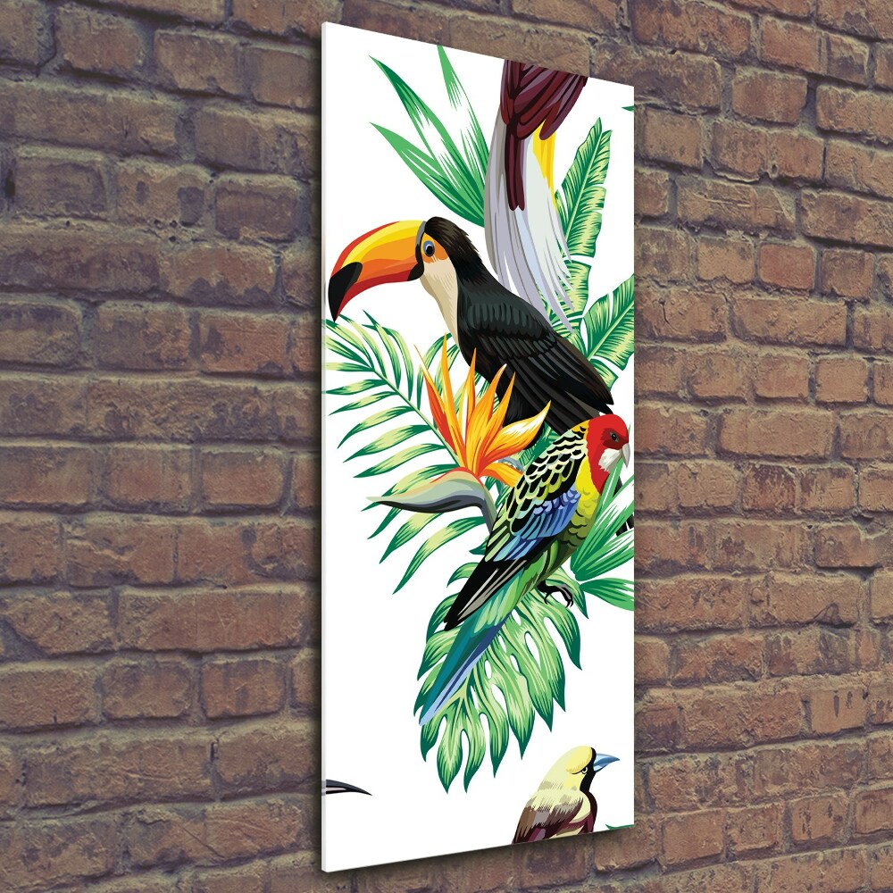 Photo printed on glass Tropical birds