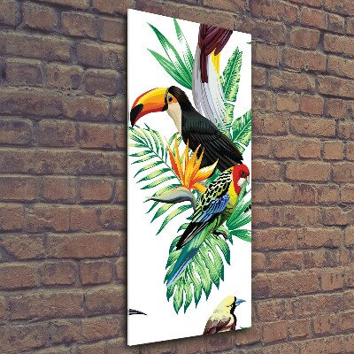 Photo printed on glass Tropical birds