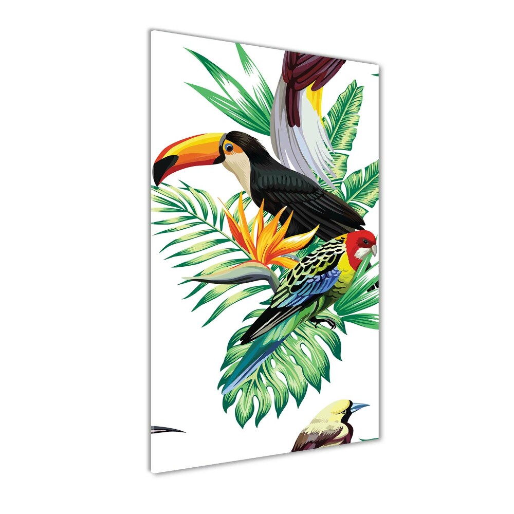 Photo printed on glass Tropical birds